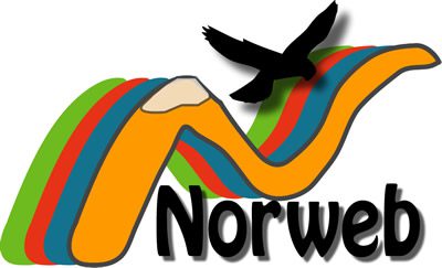 Norweb – Consultant Développeur Web